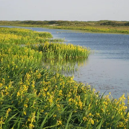 In Texel Near De Krim * De Cocksdorp (Texel)