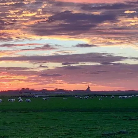 In Texel Near De Krim De Cocksdorp (Texel)