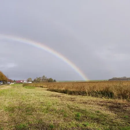 In Texel Near De Krim De Cocksdorp (Texel)