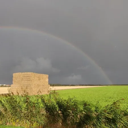 In Texel Near De Krim Villa *